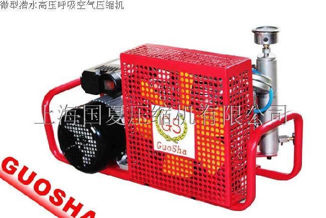 空气呼吸器充气泵（GSX100）